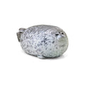 MerryXD Chubby Blob Seal Pillow,Stuffed Cotton Plush Animal Toy Cute Ocean Large(23.6 in)